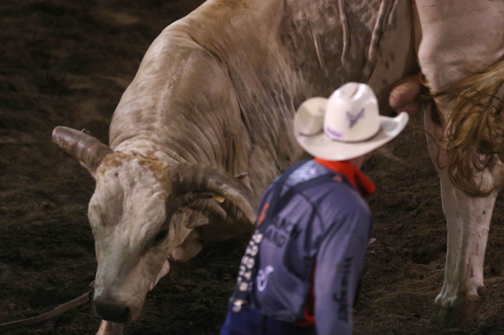 PRCA: Friday